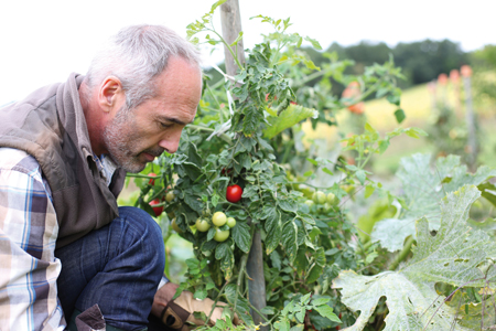 entretien potager