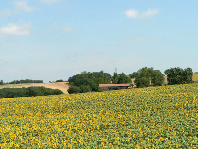 La Charte architecturale et paysagère du Pays Lauragais met en avant un ensemble d'éléments spécifiques à notre territoire afin de garantir un aménagement harmonieux.