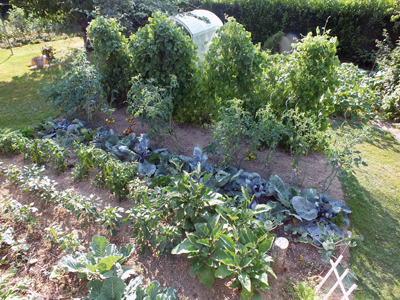 POTAGER