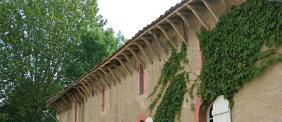 les corbeaux en bois
