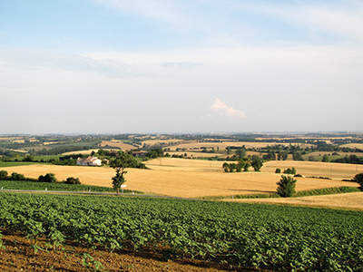 Dans le Lauragais, les bâtis anciens sont nombreux. Comme ailleurs, leur rénovation suppose le respect des codes architecturaux de notre territoire.  