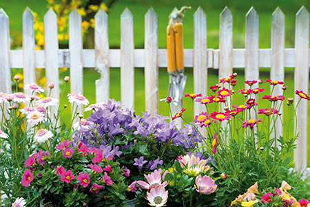 Pour profiter de son jardin toute l’année, il faut panacher les espèces