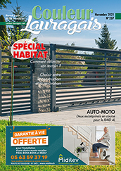 Couleur Lauragais Spécial artisans juin 2021