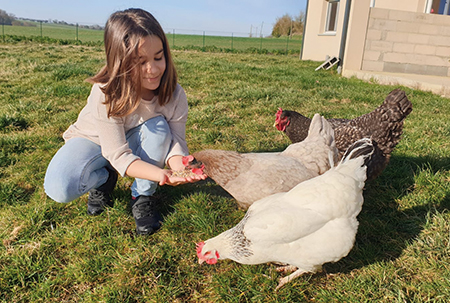 Beige, blanche ou brune, pondeuse ou ornementale, la poule est omnivore et sera une solution simple pour réduire ses déchets. 