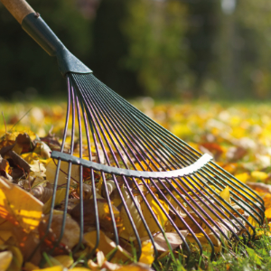 Nettoyer son jardin des dernières traces de l’hiver est essentiel pour faire un état des lieux des travaux à effectuer.