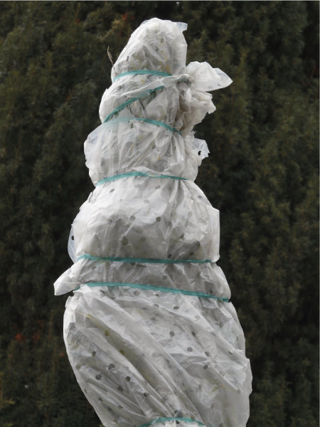 Dès lors que votre région est fréquemment soumise aux gelées hivernales, il est fortement conseillé de mettre un voile d’hivernage sur vos plantes méditerranéennes, surtout si elles sont cultivées en pot.