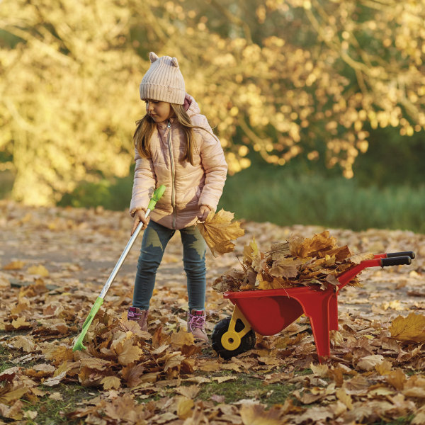 Compostez les feuilles mortes ou utilisez-les comme paillage, en sélectionnant   celles qui ne sont pas trop gorgées d’eau.